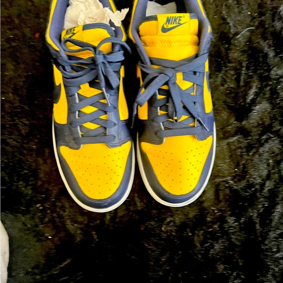 Nike Other - Nike Dunk Low